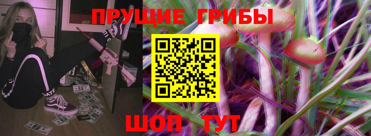 Псилоцибиновые грибы Cubensis Лосино-Петровский